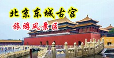 美女同学被我操在线播放中国北京-东城古宫旅游风景区